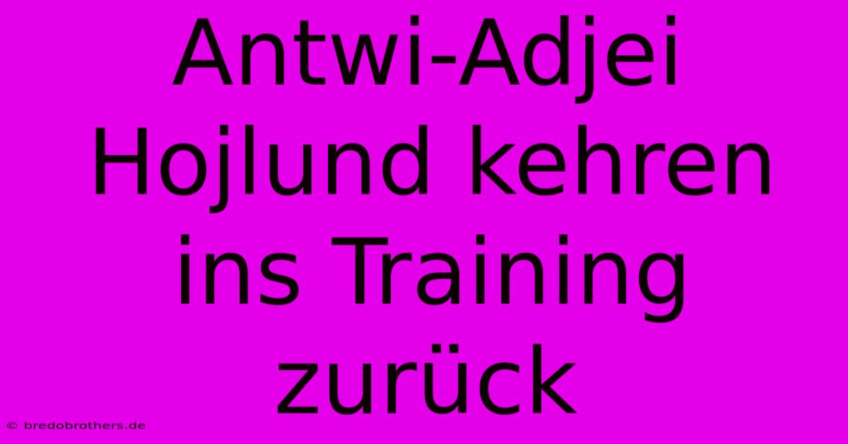 Antwi-Adjei Hojlund Kehren Ins Training Zurück