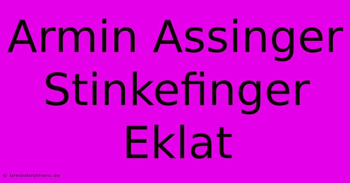 Armin Assinger Stinkefinger Eklat