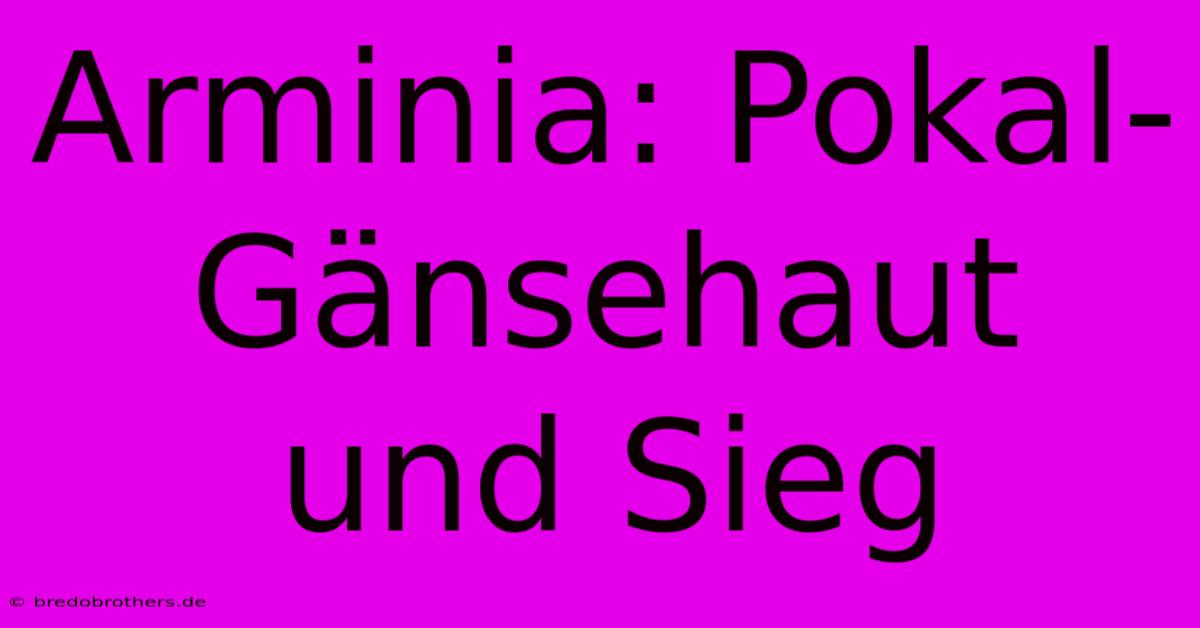 Arminia: Pokal-Gänsehaut Und Sieg