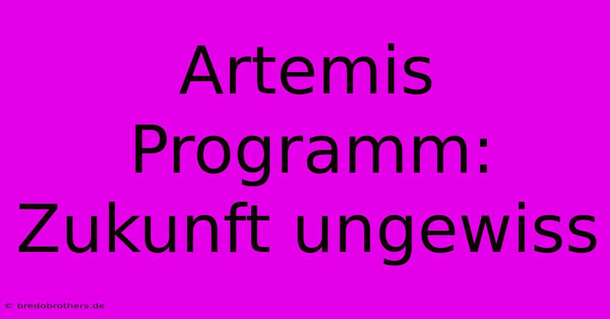 Artemis Programm: Zukunft Ungewiss