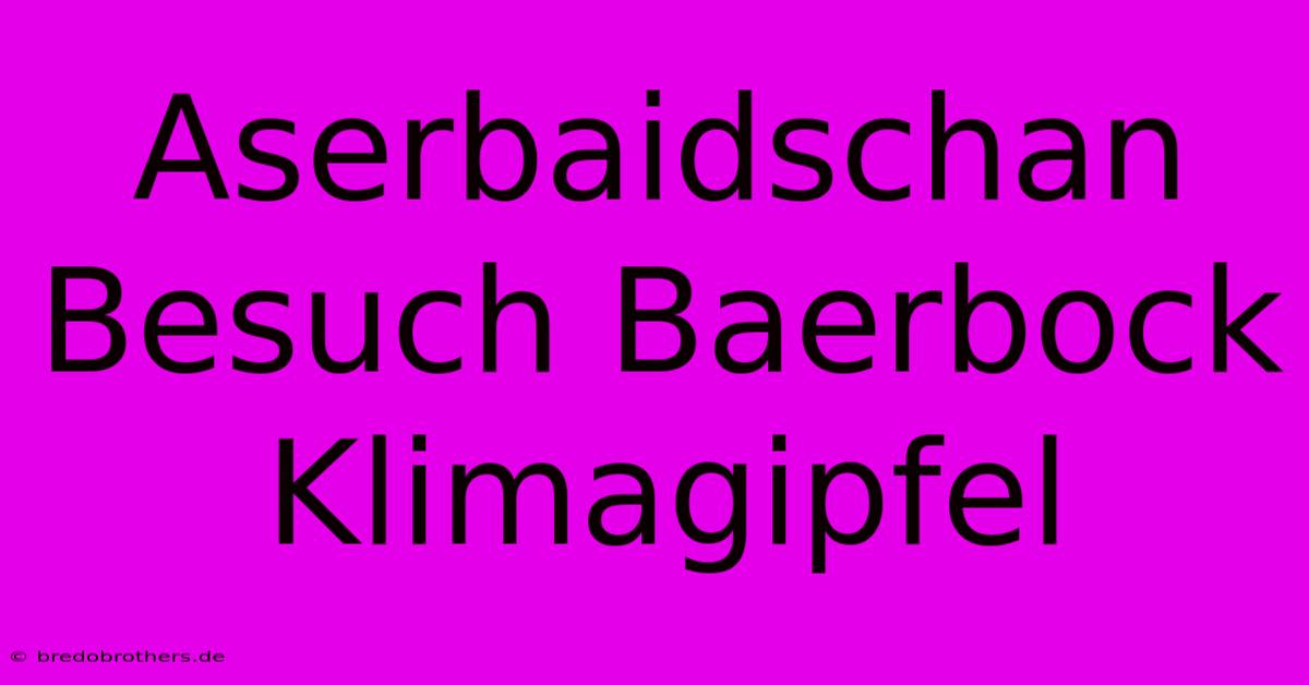 Aserbaidschan Besuch Baerbock Klimagipfel