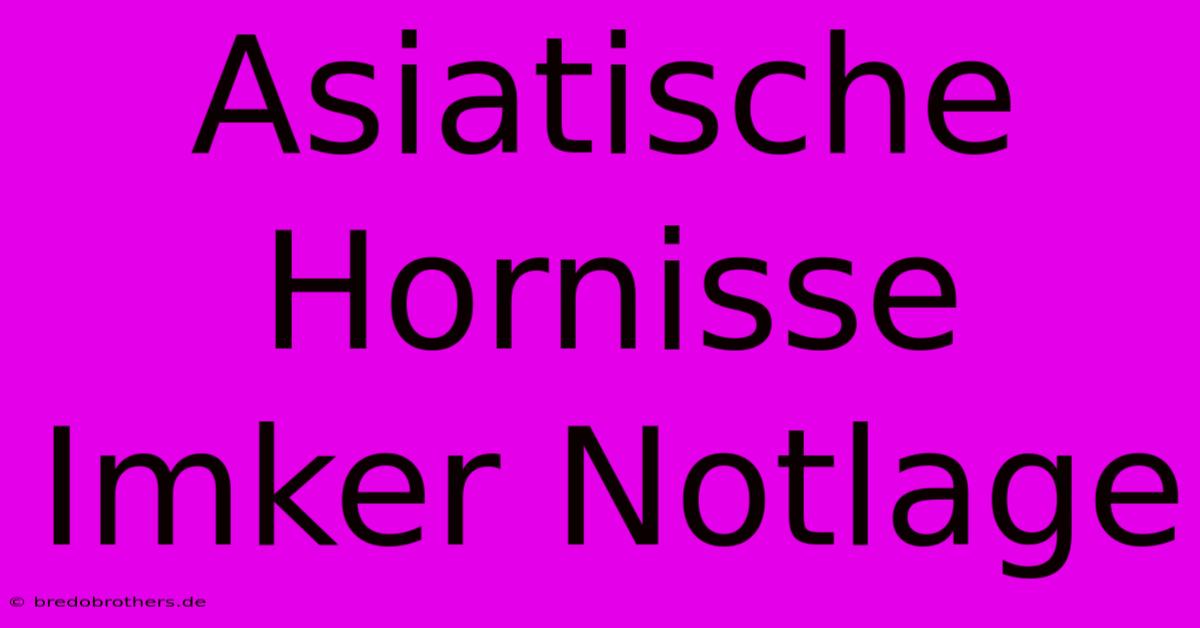 Asiatische Hornisse Imker Notlage