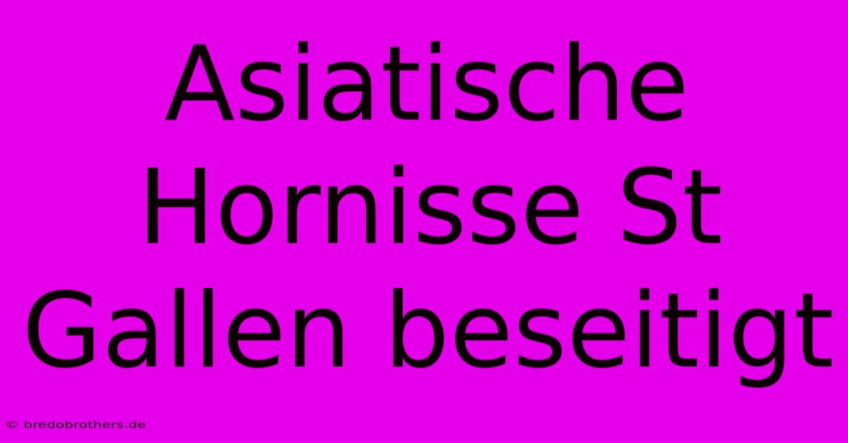 Asiatische Hornisse St Gallen Beseitigt