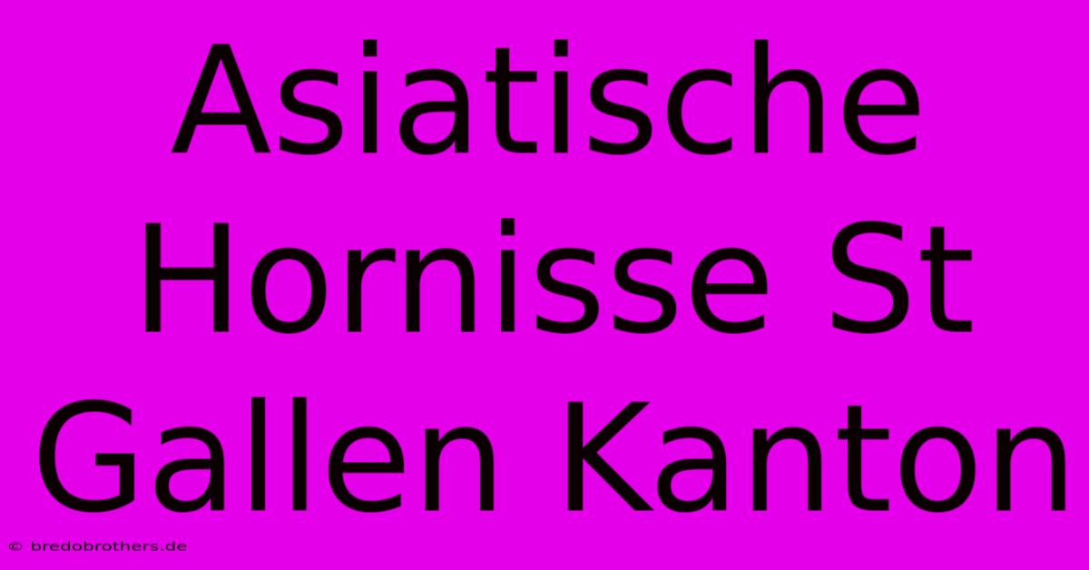 Asiatische Hornisse St Gallen Kanton