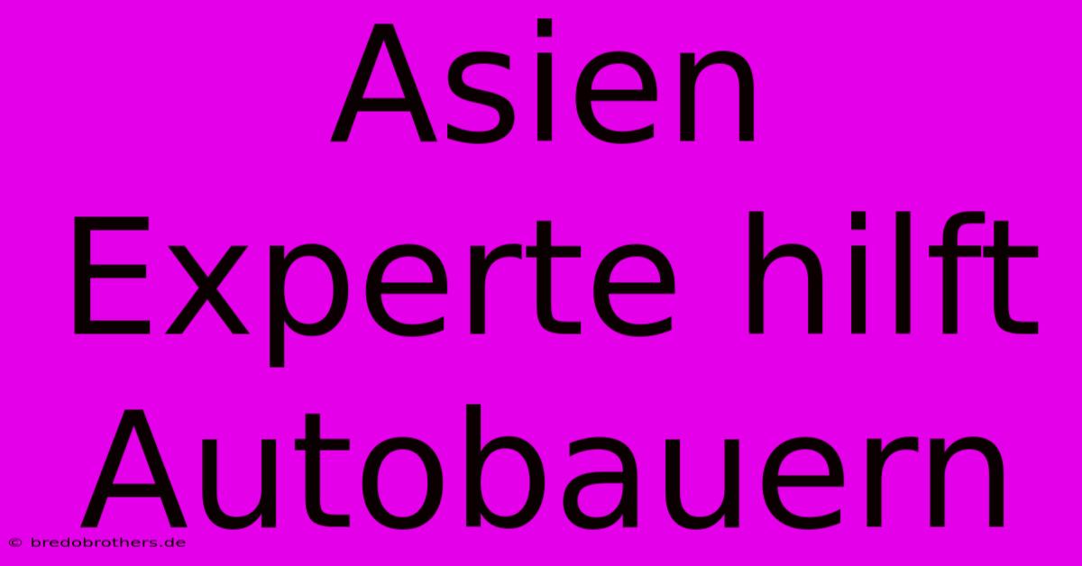 Asien Experte Hilft Autobauern