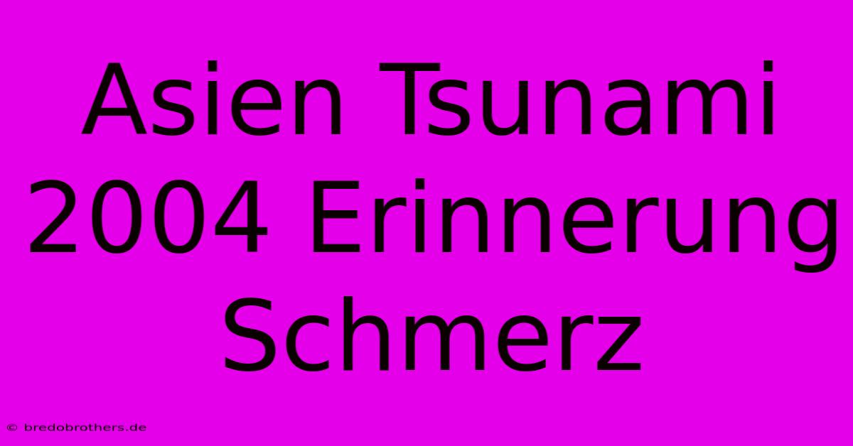 Asien Tsunami 2004 Erinnerung Schmerz