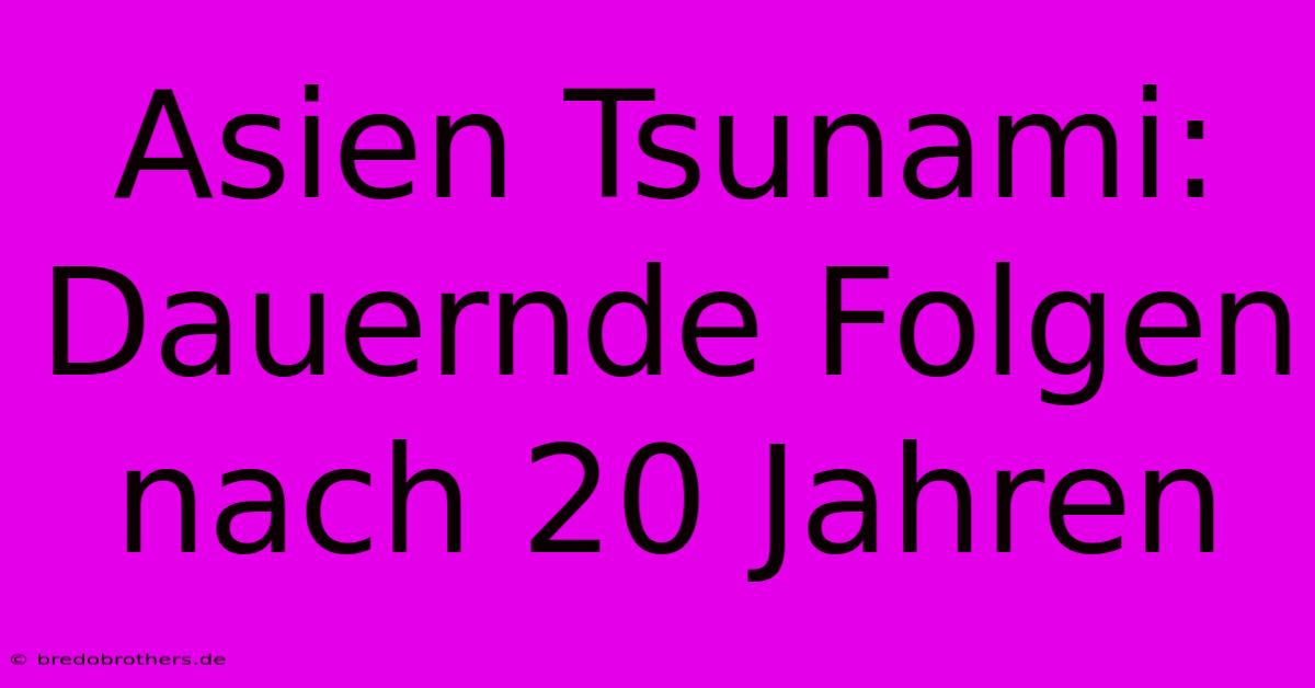 Asien Tsunami:  Dauernde Folgen Nach 20 Jahren