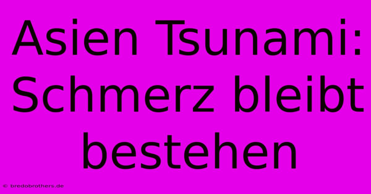 Asien Tsunami: Schmerz Bleibt Bestehen