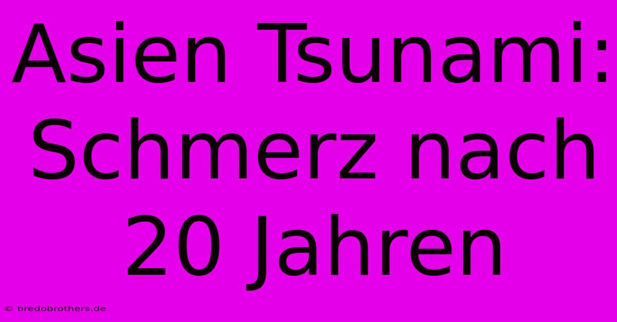 Asien Tsunami: Schmerz Nach 20 Jahren