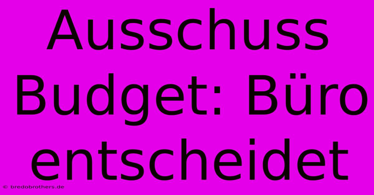 Ausschuss Budget: Büro Entscheidet