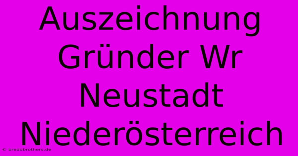 Auszeichnung Gründer Wr Neustadt Niederösterreich