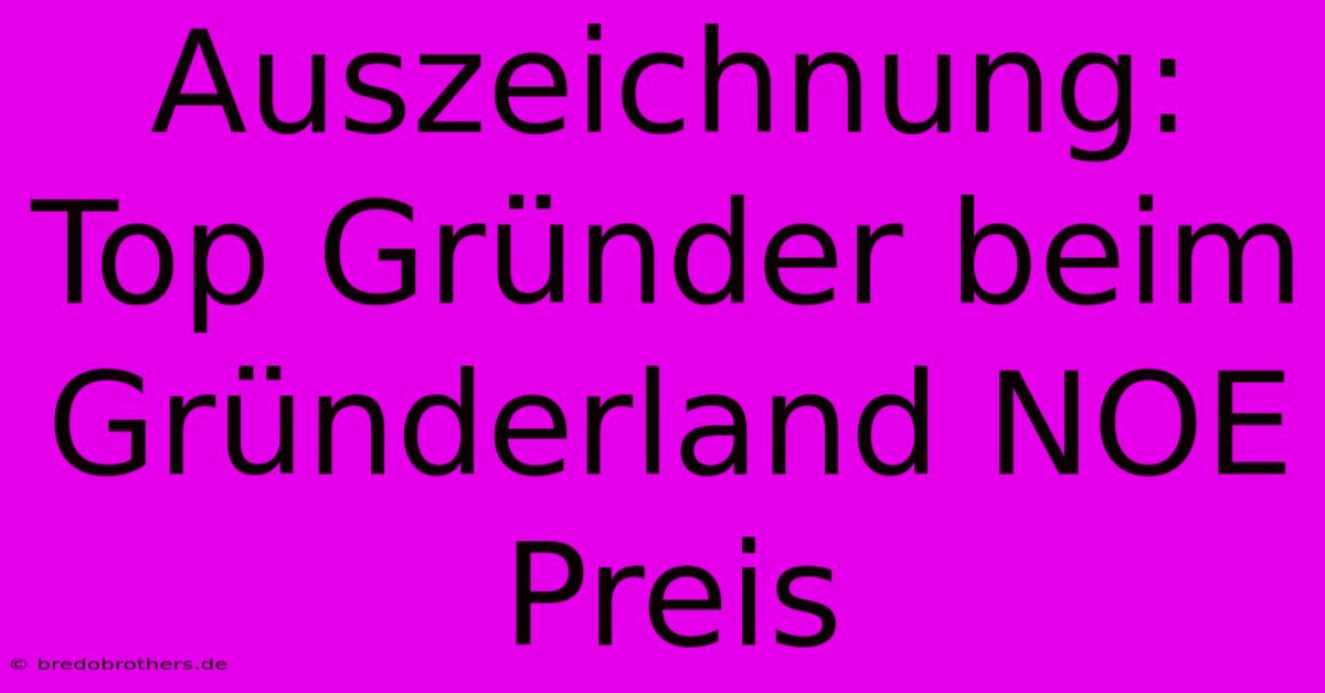 Auszeichnung: Top Gründer Beim Gründerland NOE Preis