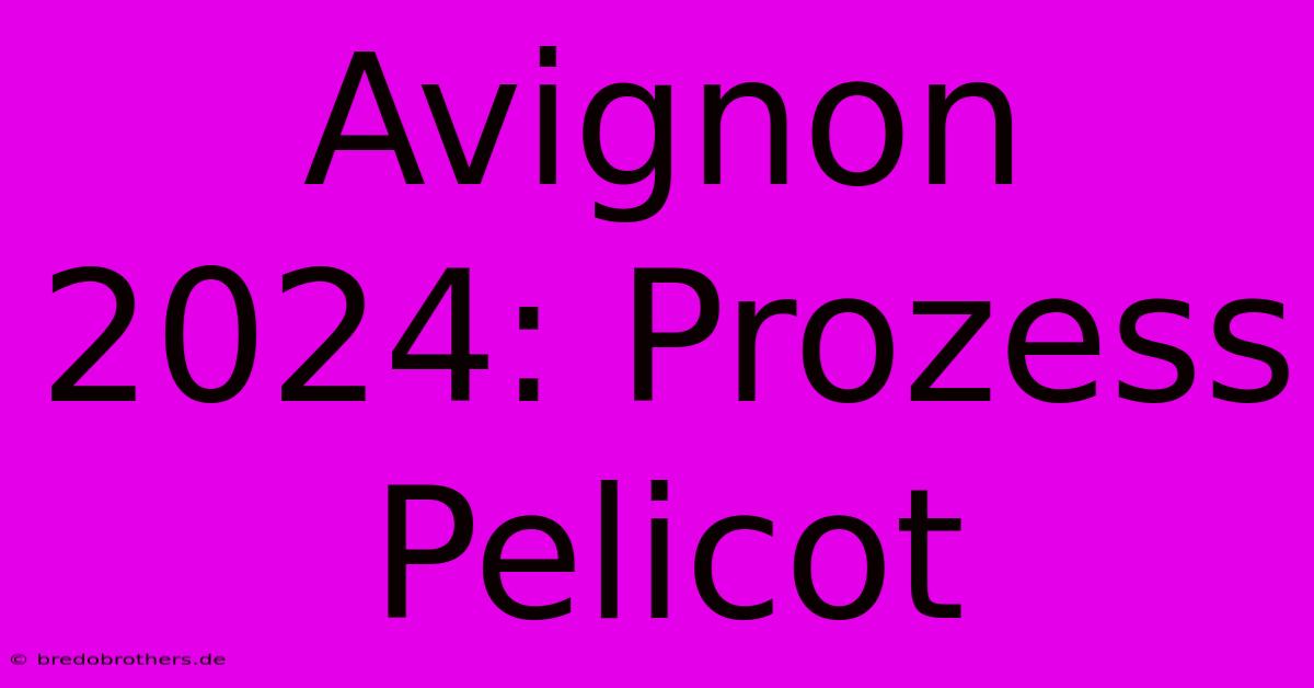 Avignon 2024: Prozess Pelicot