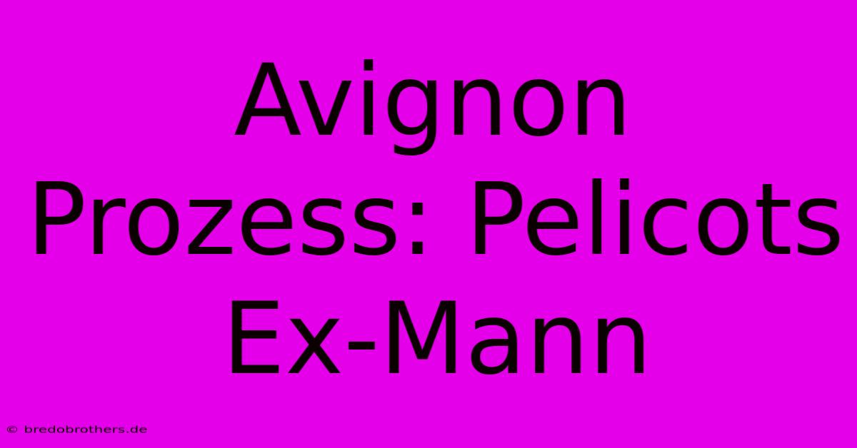 Avignon Prozess: Pelicots Ex-Mann