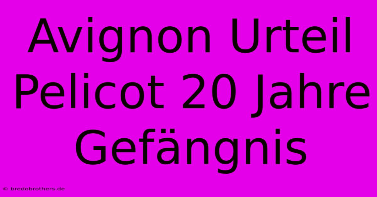 Avignon Urteil Pelicot 20 Jahre Gefängnis