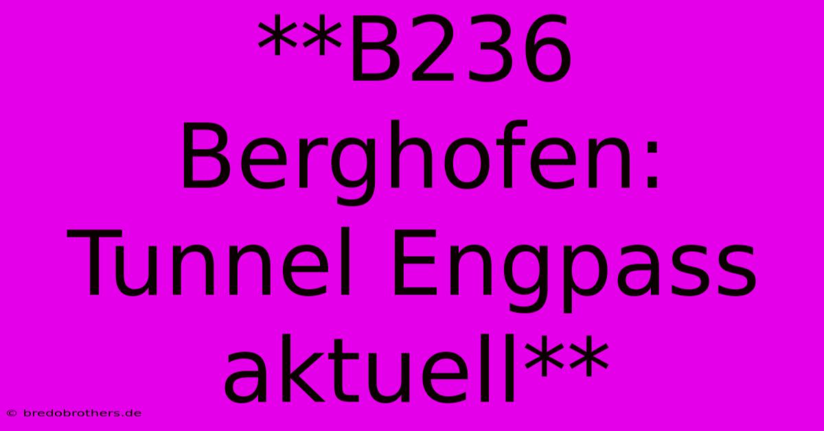 **B236 Berghofen: Tunnel Engpass Aktuell**