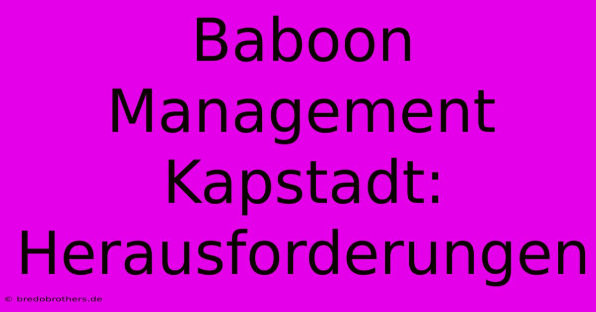 Baboon Management Kapstadt: Herausforderungen