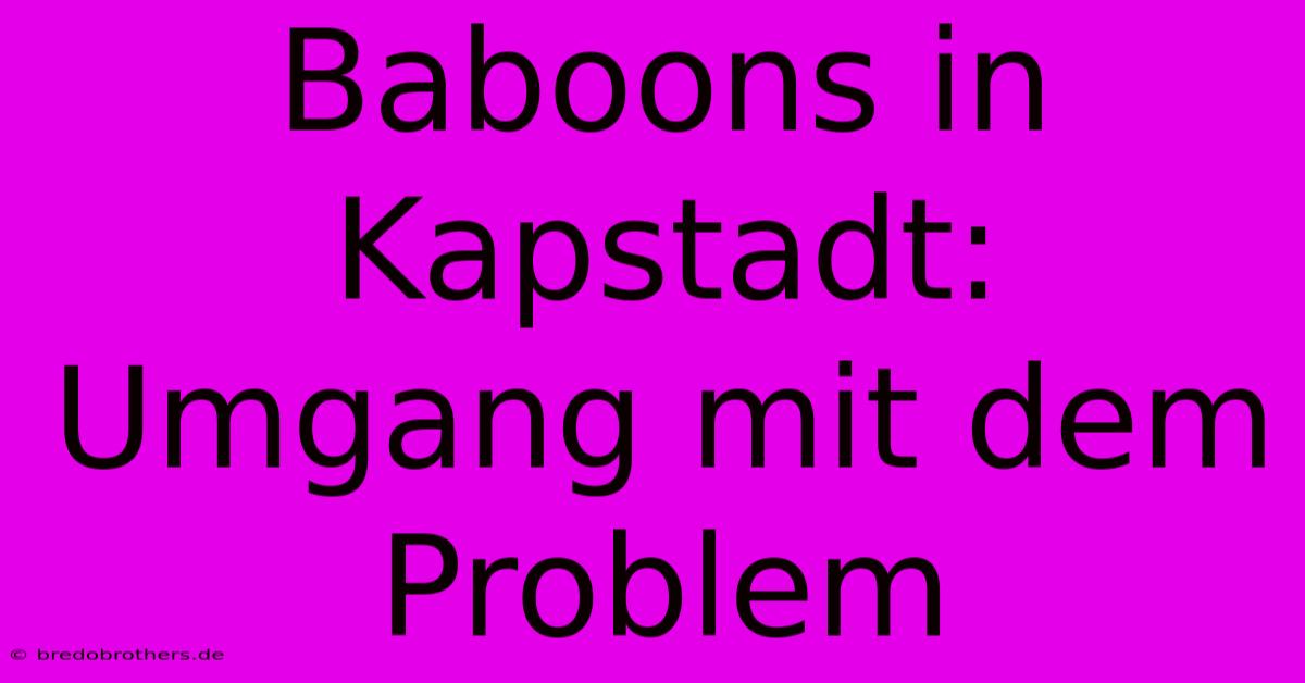 Baboons In Kapstadt: Umgang Mit Dem Problem