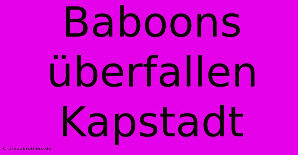 Baboons Überfallen Kapstadt