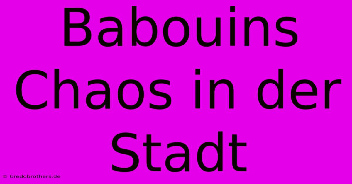 Babouins Chaos In Der Stadt