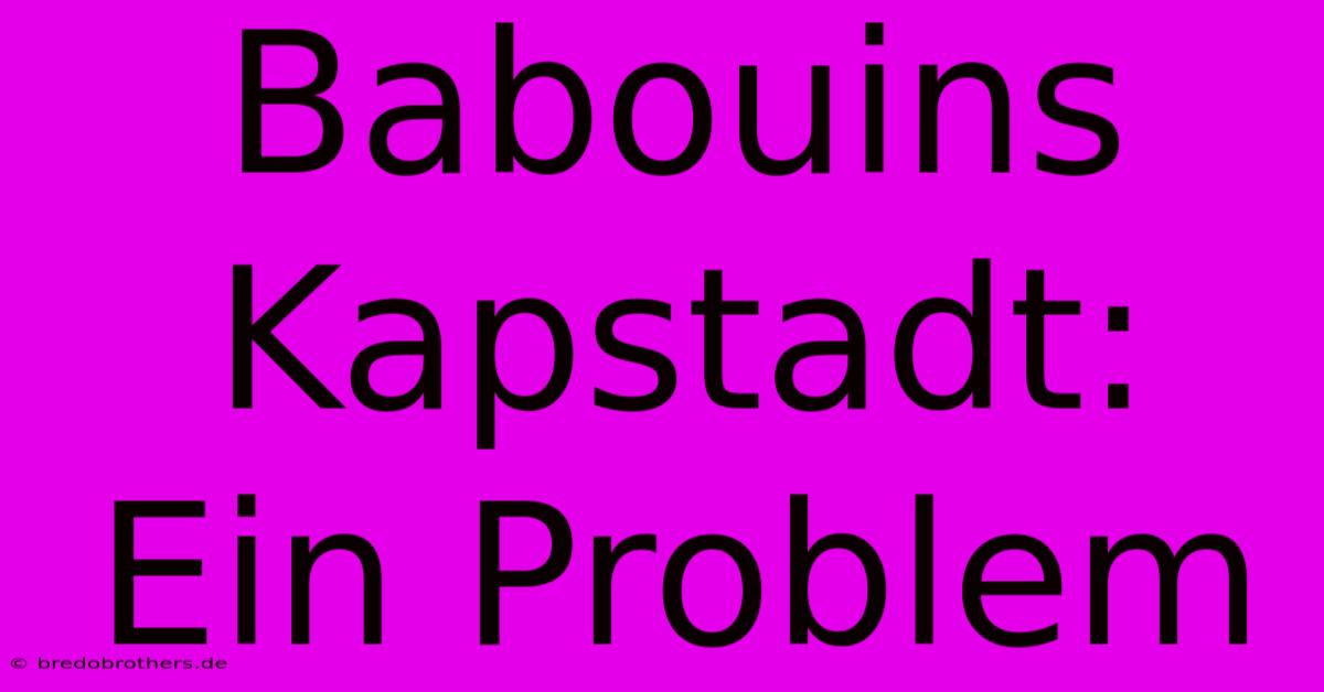 Babouins Kapstadt: Ein Problem