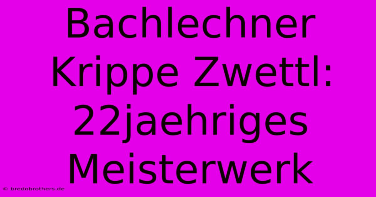 Bachlechner Krippe Zwettl: 22jaehriges Meisterwerk