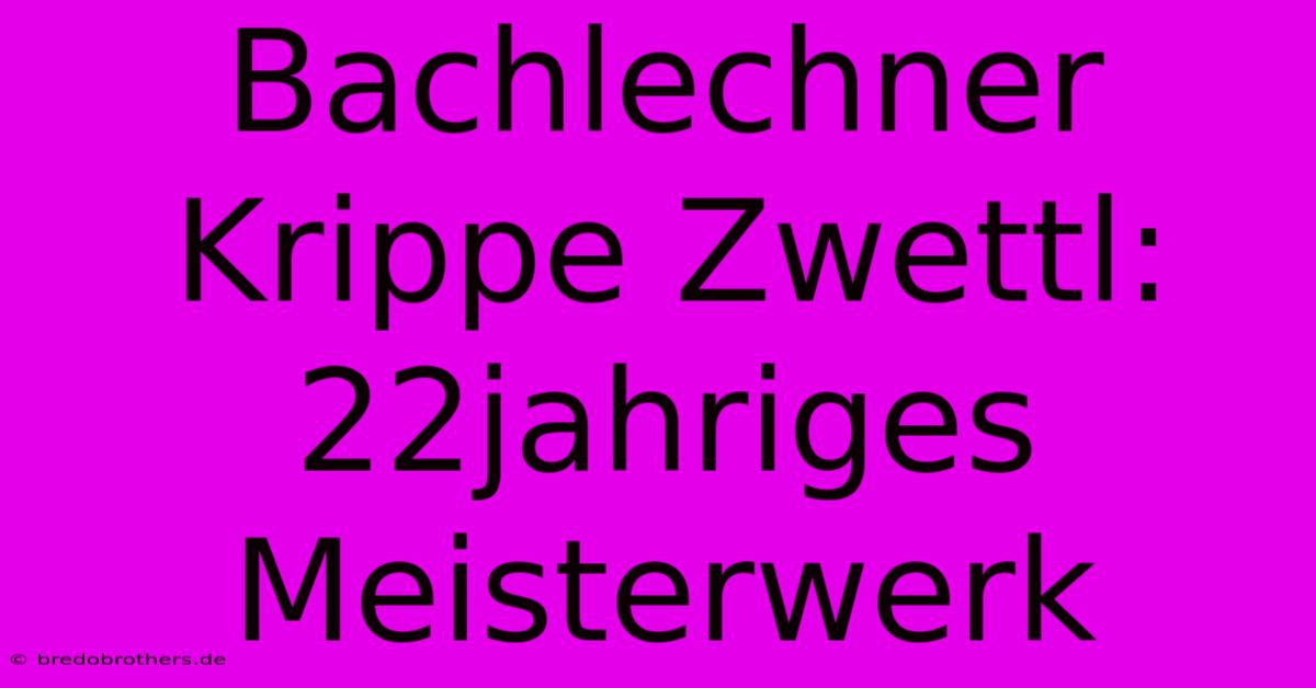 Bachlechner Krippe Zwettl: 22jahriges Meisterwerk