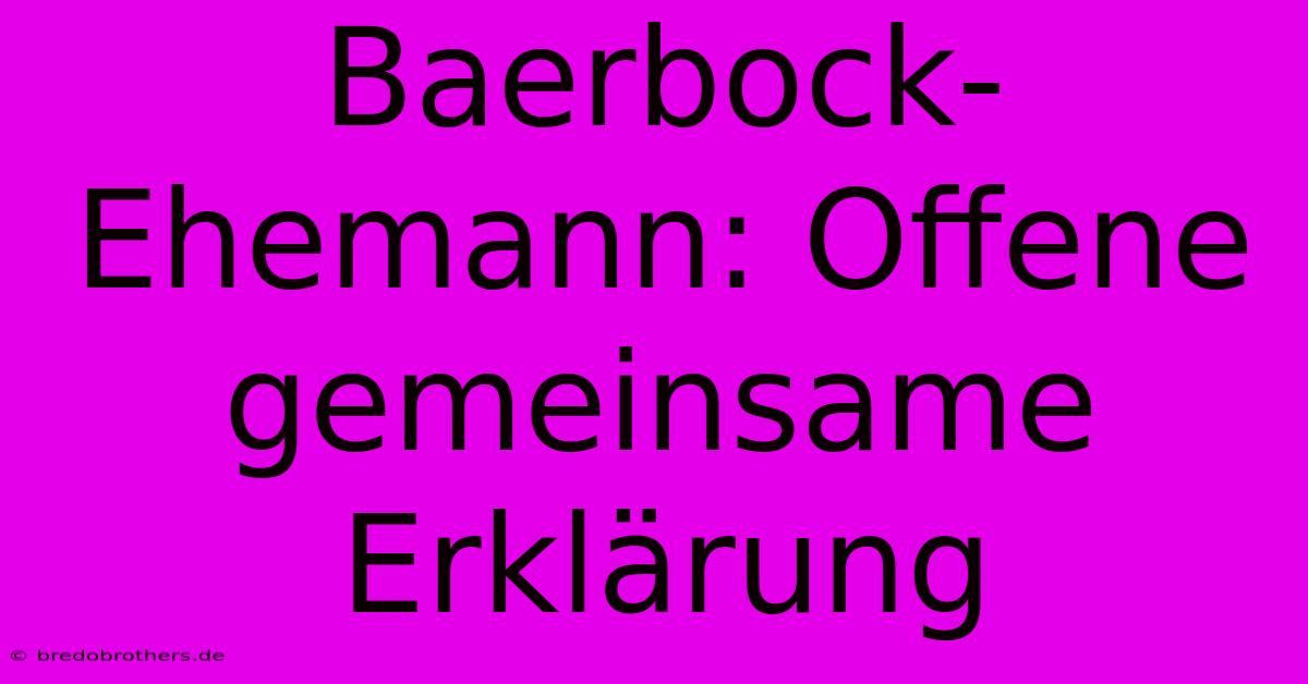 Baerbock-Ehemann: Offene Gemeinsame Erklärung