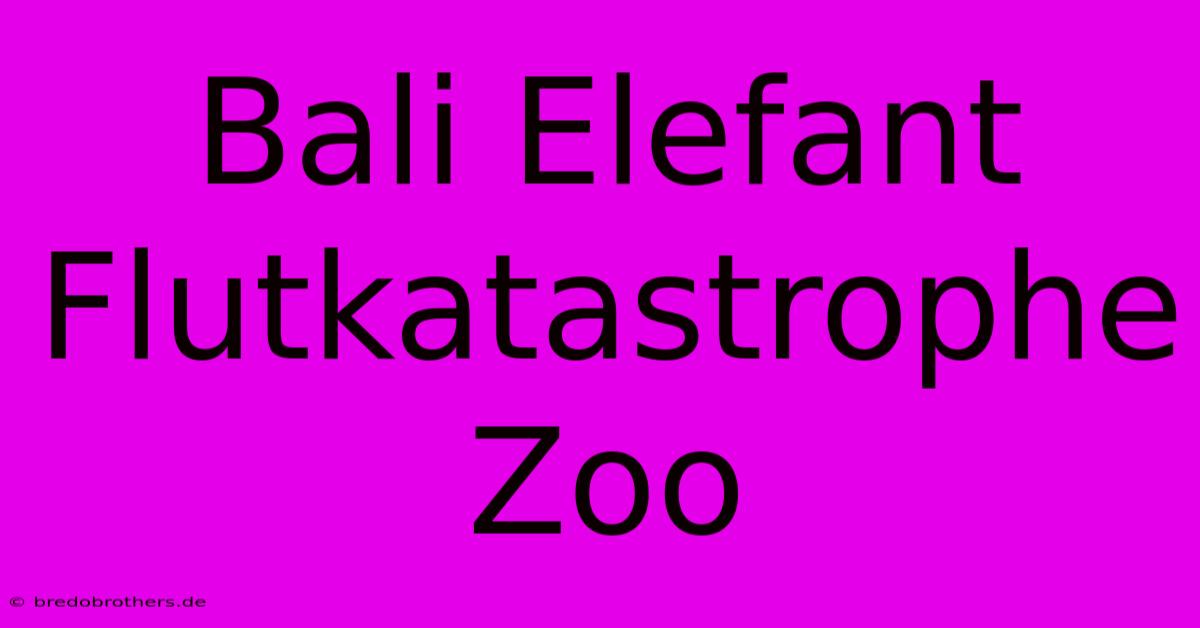 Bali Elefant Flutkatastrophe Zoo