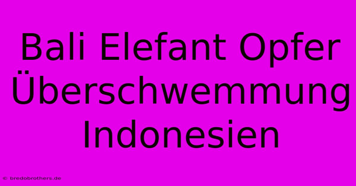 Bali Elefant Opfer Überschwemmung Indonesien