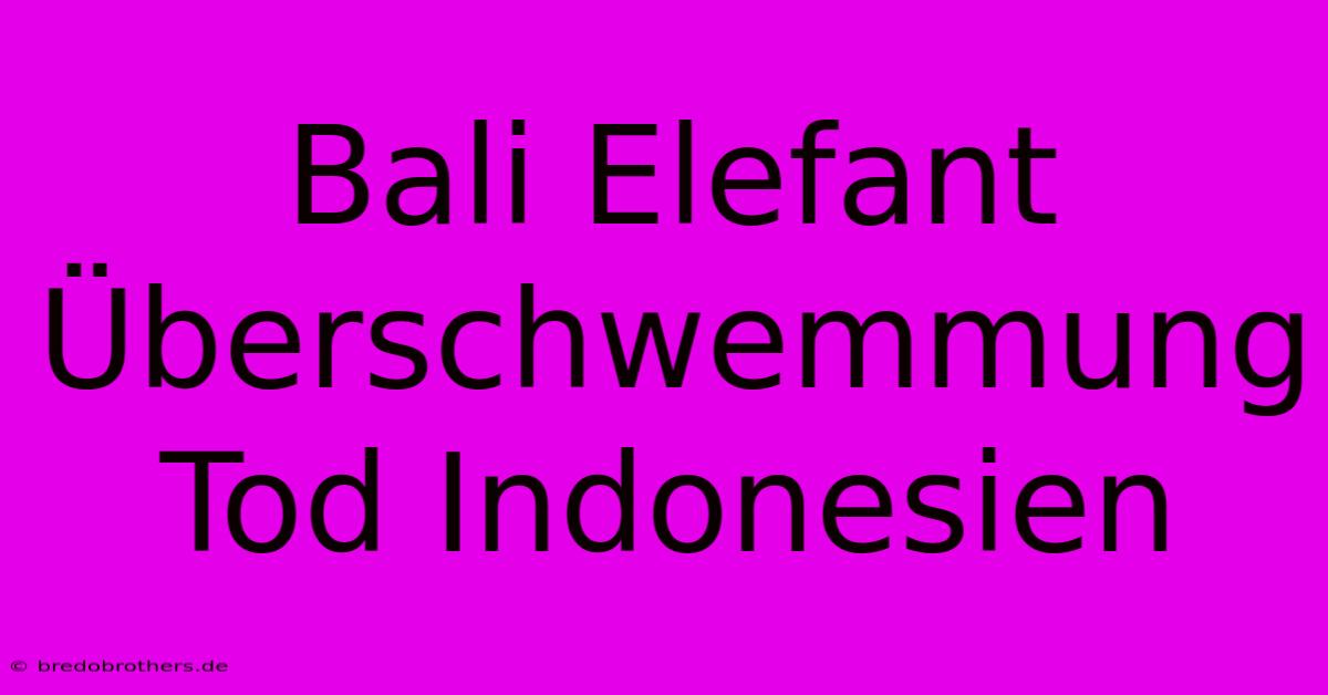 Bali Elefant Überschwemmung Tod Indonesien