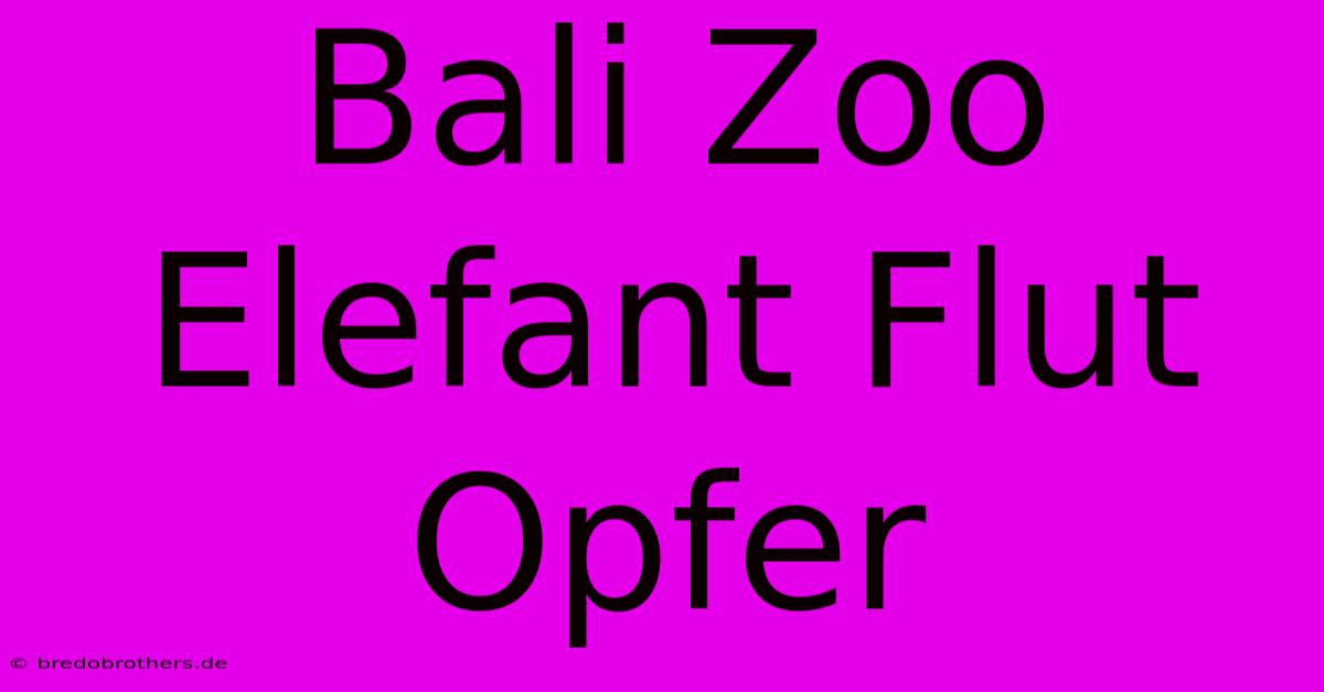 Bali Zoo Elefant Flut Opfer