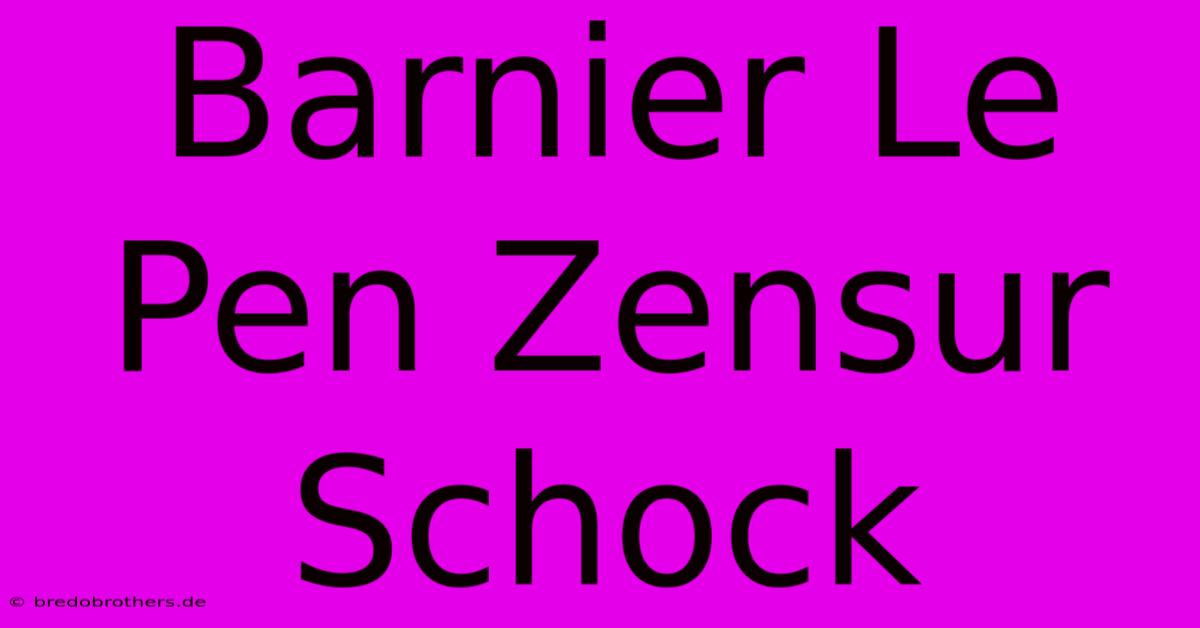 Barnier Le Pen Zensur  Schock