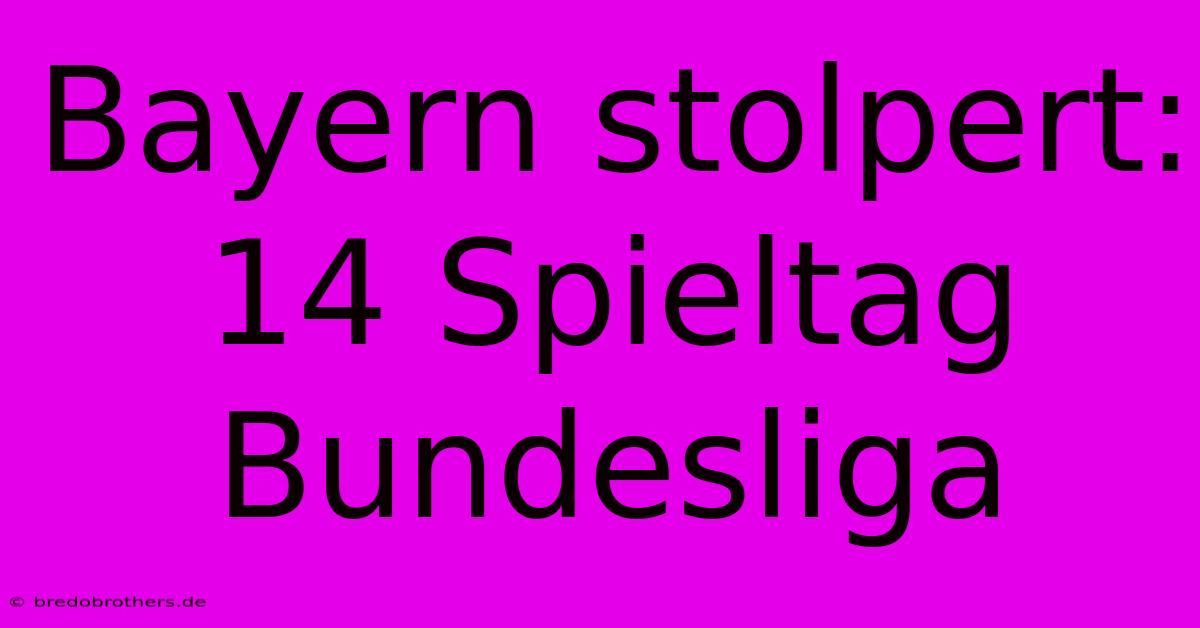 Bayern Stolpert: 14 Spieltag Bundesliga