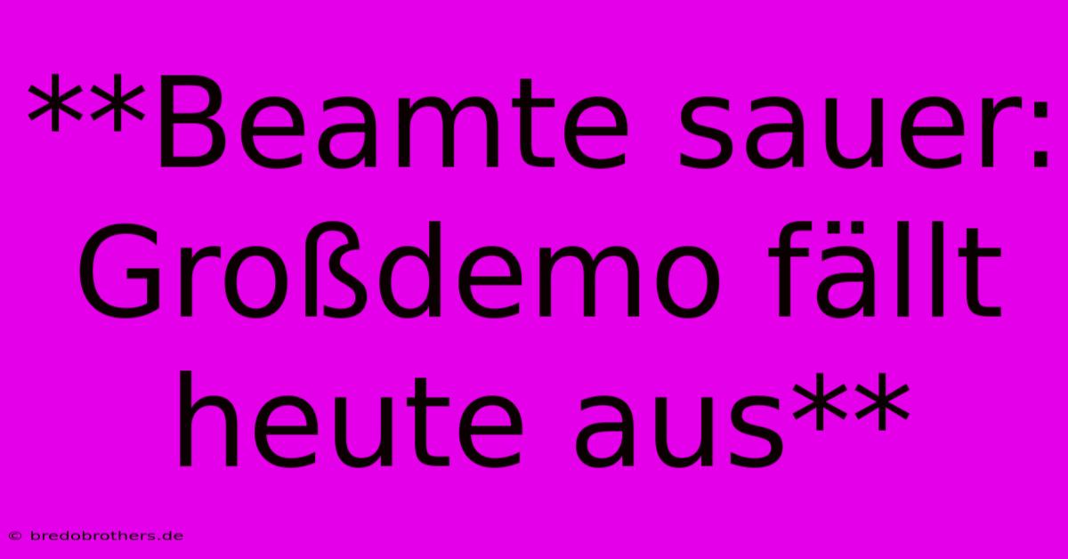 **Beamte Sauer: Großdemo Fällt Heute Aus**