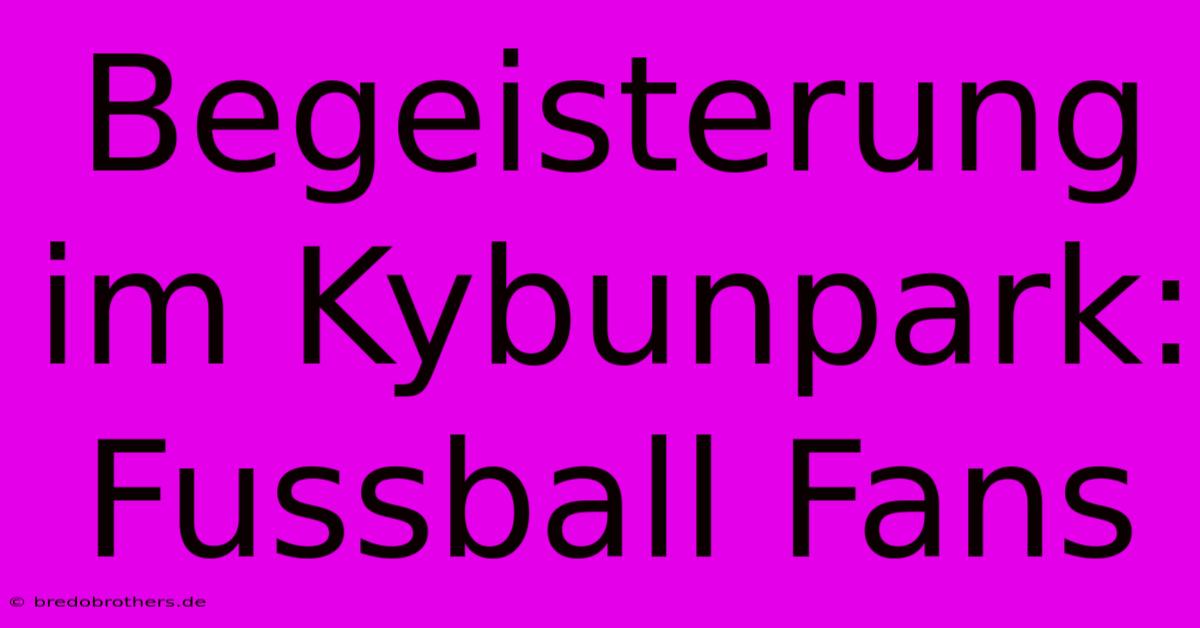 Begeisterung Im Kybunpark: Fussball Fans