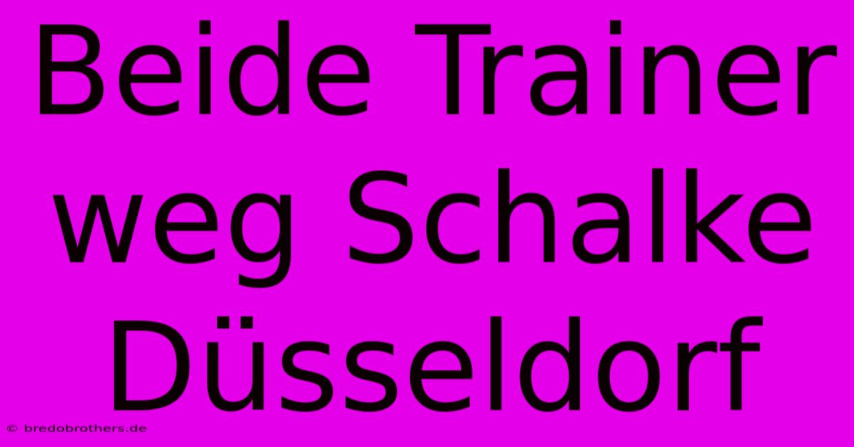 Beide Trainer Weg Schalke Düsseldorf