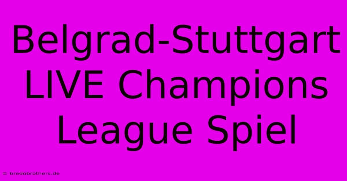 Belgrad-Stuttgart LIVE Champions League Spiel