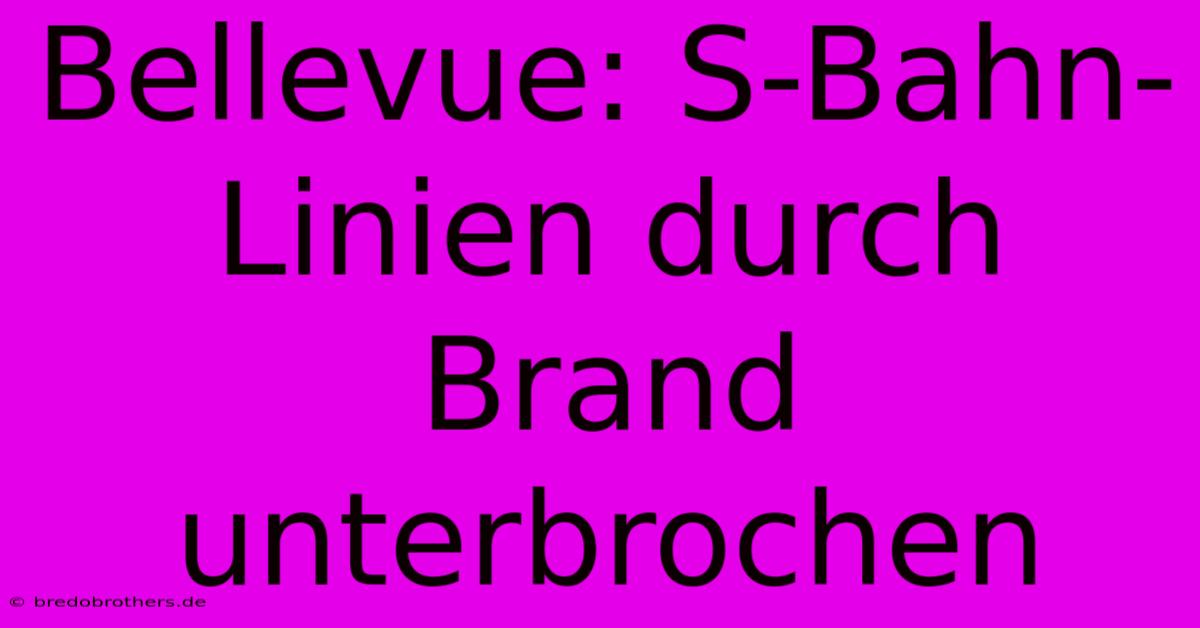 Bellevue: S-Bahn-Linien Durch Brand Unterbrochen