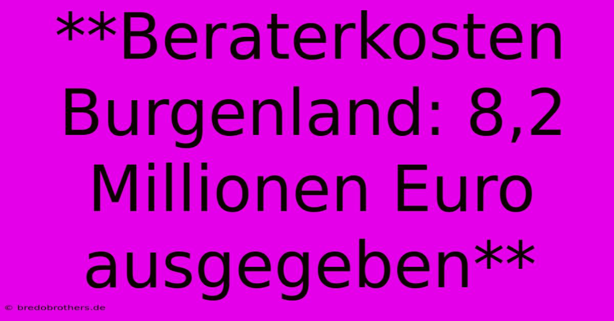 **Beraterkosten Burgenland: 8,2 Millionen Euro Ausgegeben**