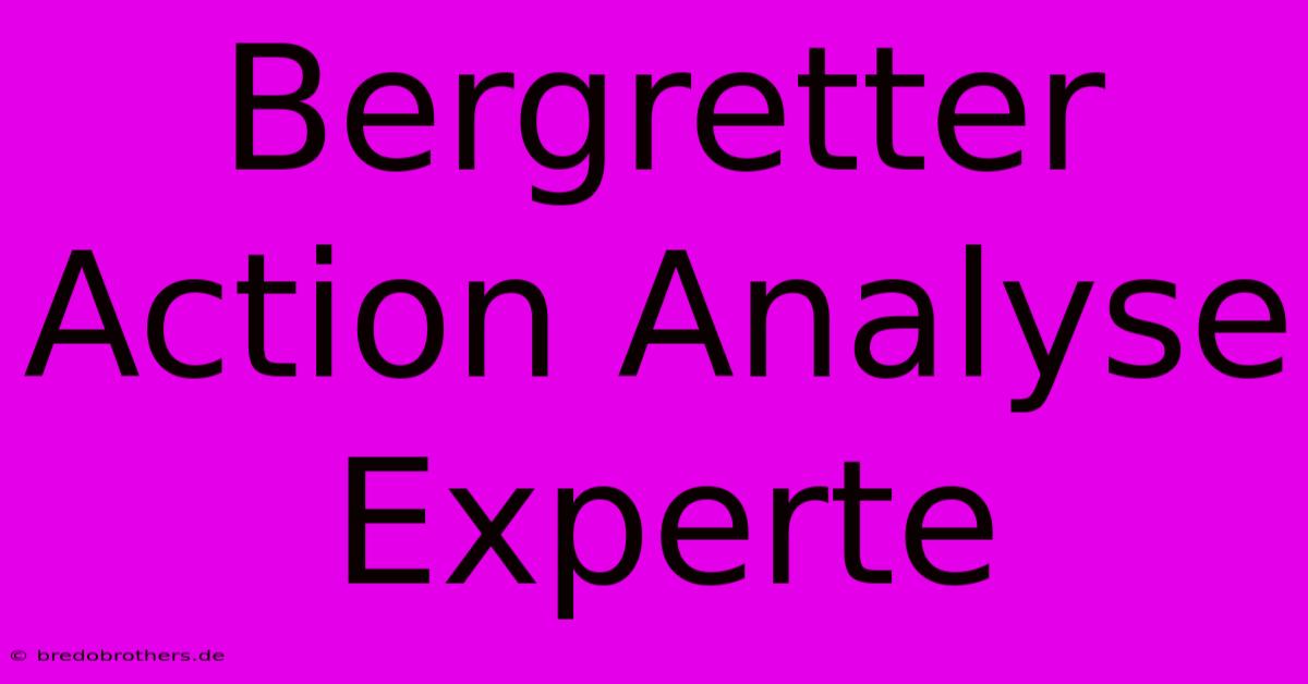 Bergretter Action Analyse Experte