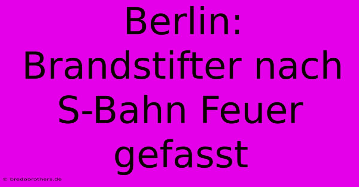 Berlin: Brandstifter Nach S-Bahn Feuer Gefasst