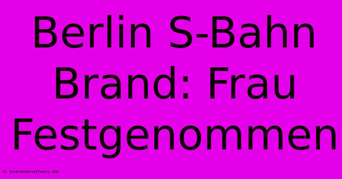 Berlin S-Bahn Brand: Frau Festgenommen