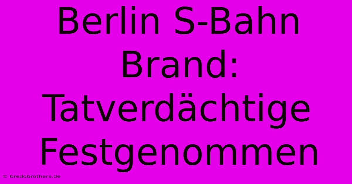 Berlin S-Bahn Brand: Tatverdächtige Festgenommen