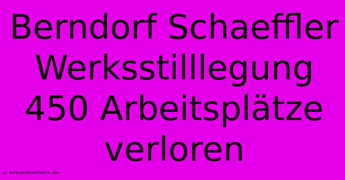 Berndorf Schaeffler Werksstilllegung 450 Arbeitsplätze Verloren