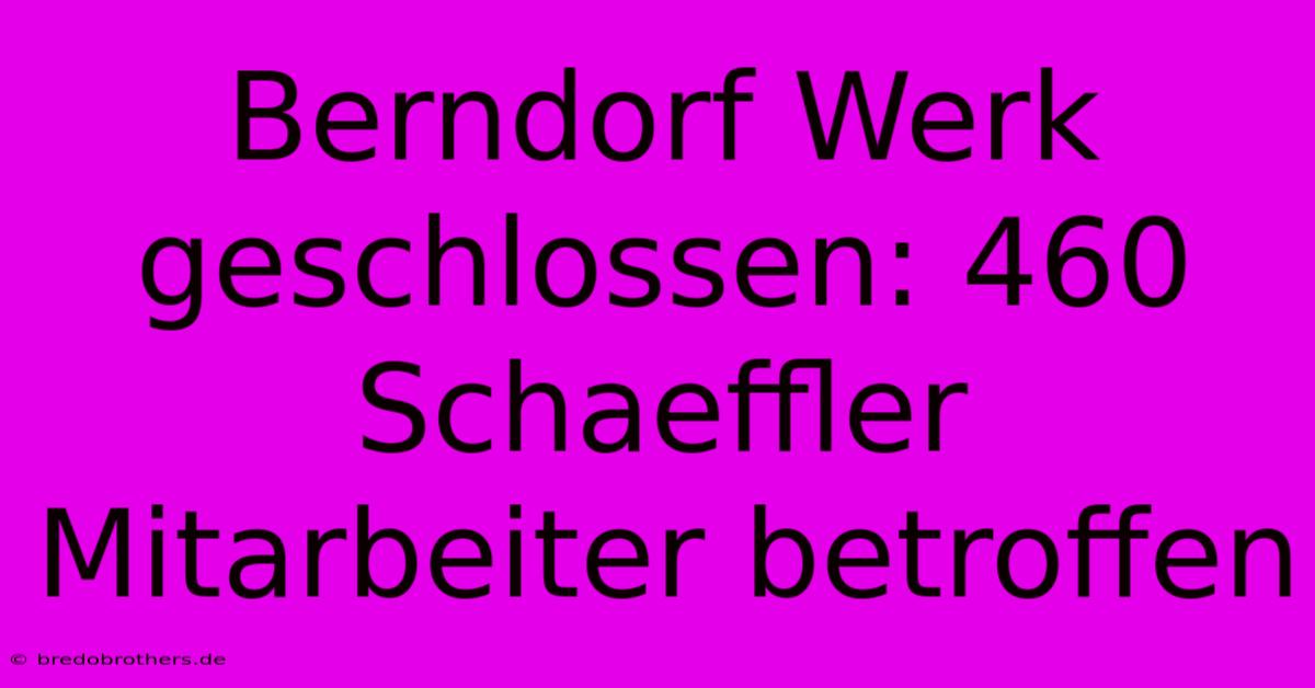 Berndorf Werk Geschlossen: 460 Schaeffler Mitarbeiter Betroffen