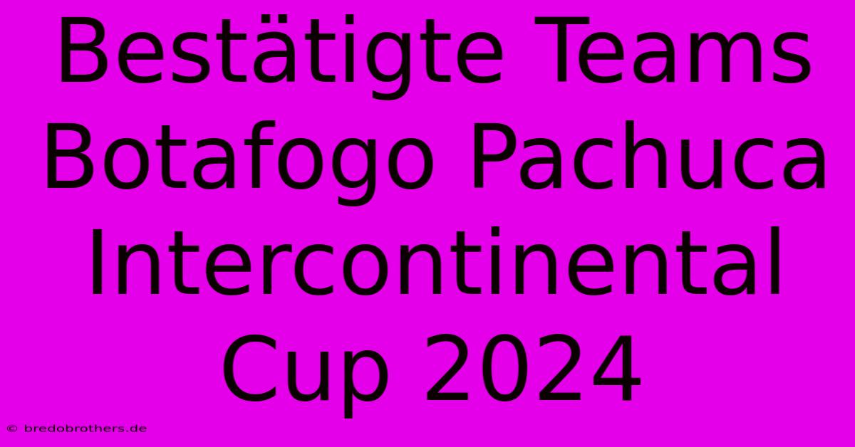 Bestätigte Teams Botafogo Pachuca Intercontinental Cup 2024