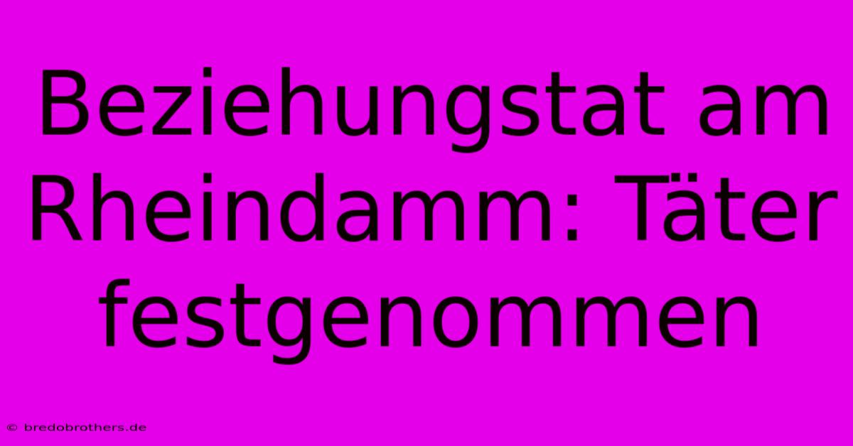 Beziehungstat Am Rheindamm: Täter Festgenommen