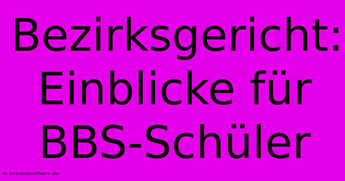 Bezirksgericht: Einblicke Für BBS-Schüler