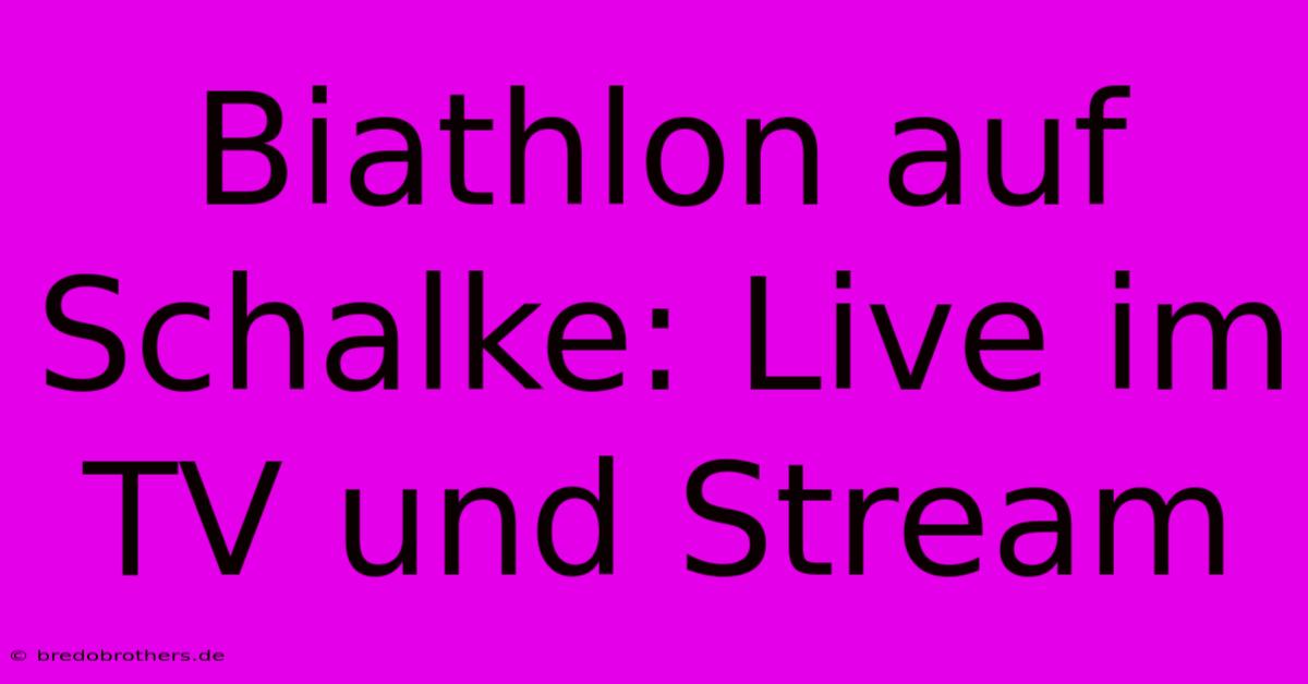 Biathlon Auf Schalke: Live Im TV Und Stream